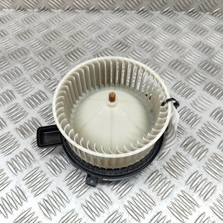 Heater fan/blower A0999062602