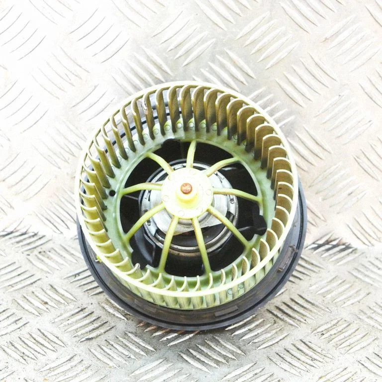 Krāsniņas ventilators/pūtējs 601212F