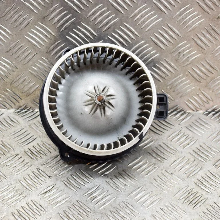 Krāsniņas ventilators/pūtējs F00S3B2242