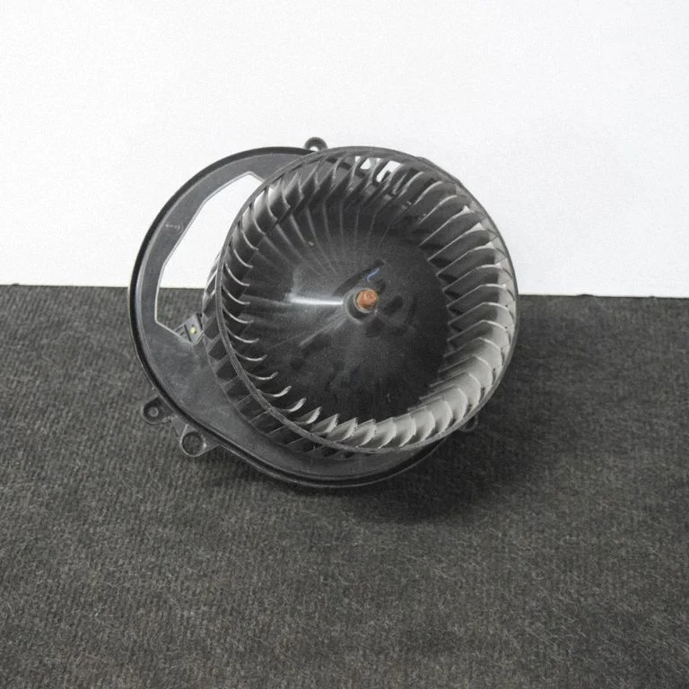 Krāsniņas ventilators/pūtējs T1014417J