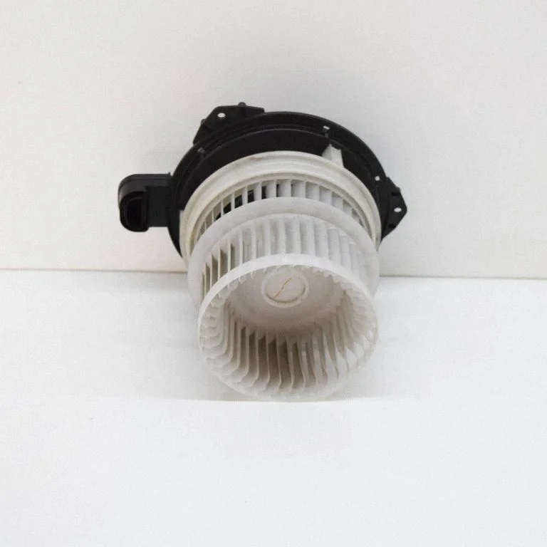 Krāsniņas ventilators/pūtējs 06T29