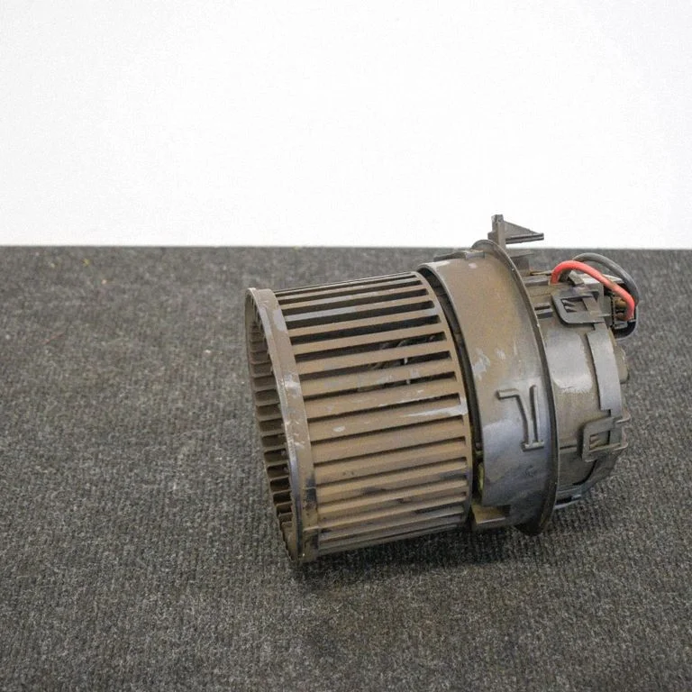 Krāsniņas ventilators/pūtējs T1013140A