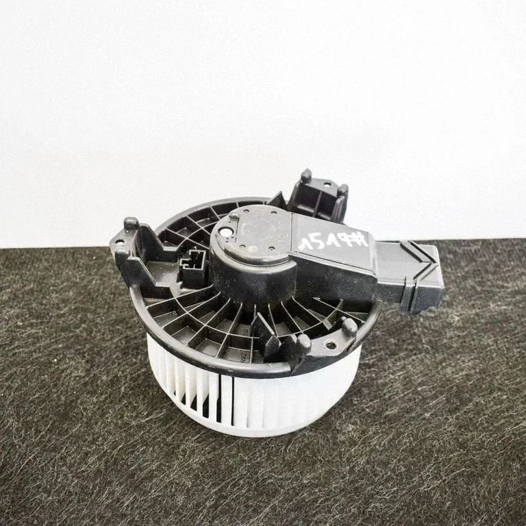 Krāsniņas ventilators/pūtējs 12N11200