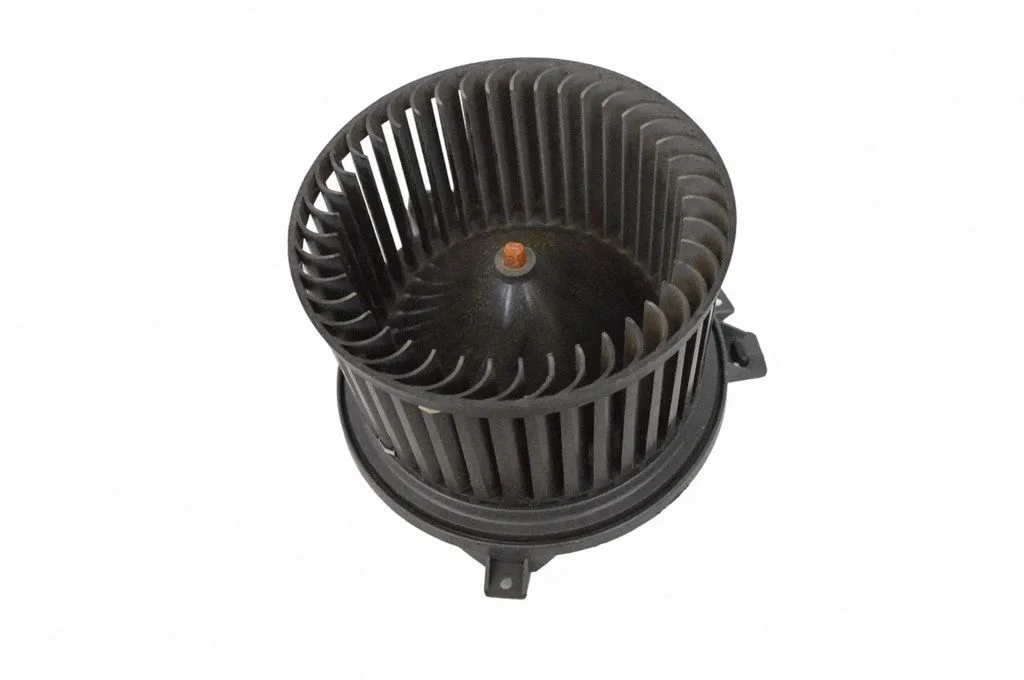 Krāsniņas ventilators/pūtējs T30231C