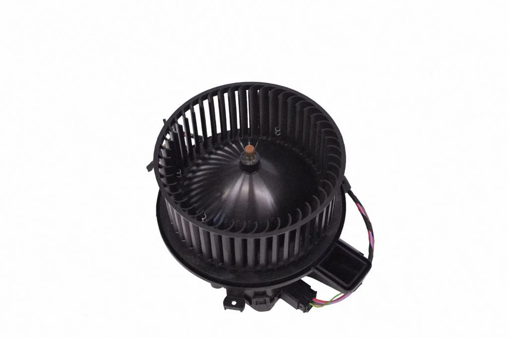 Heater fan/blower 0005370066