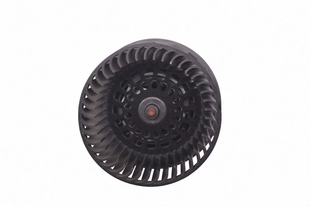 Heater fan/blower