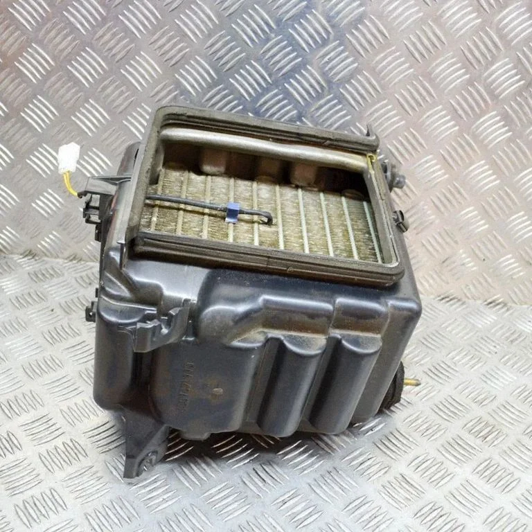Interior heater climate box assembly CAA301A060A