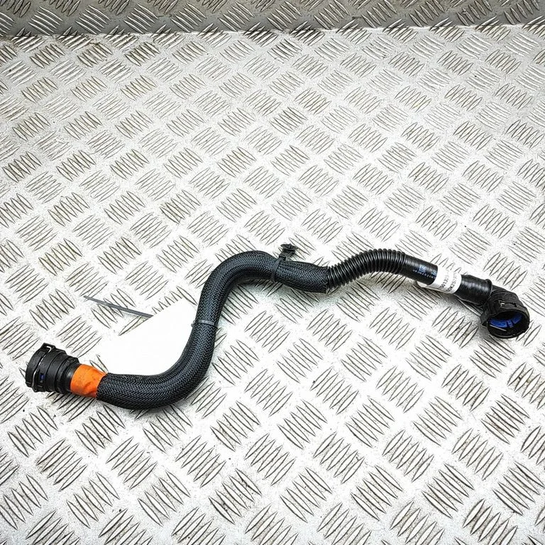 Engine coolant pipe/hose 150132500F