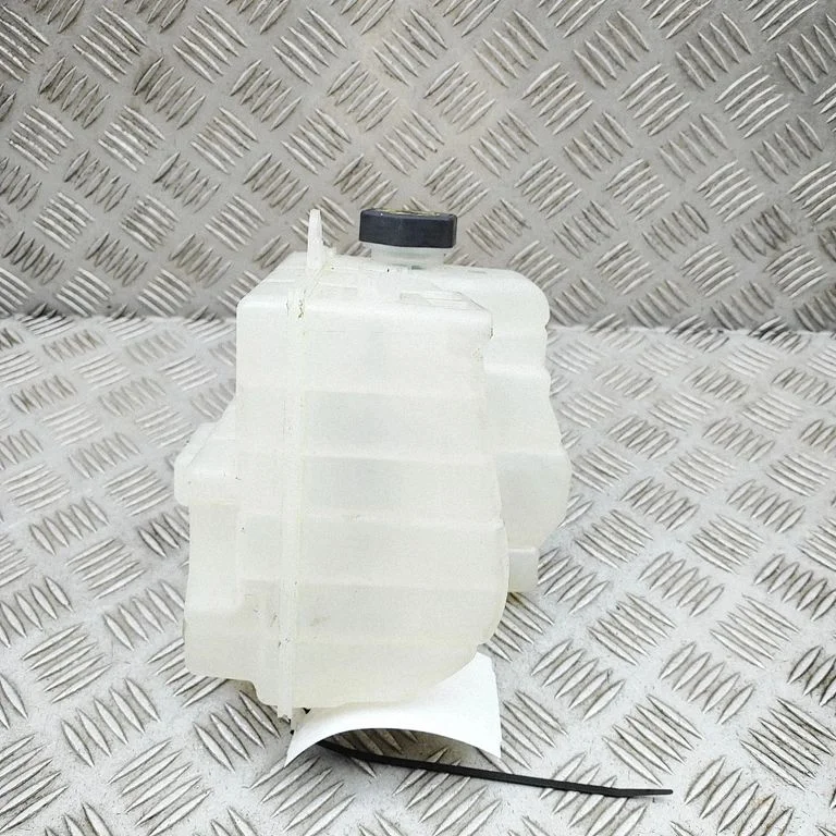 Coolant expansion tank/reservoir 154647500E