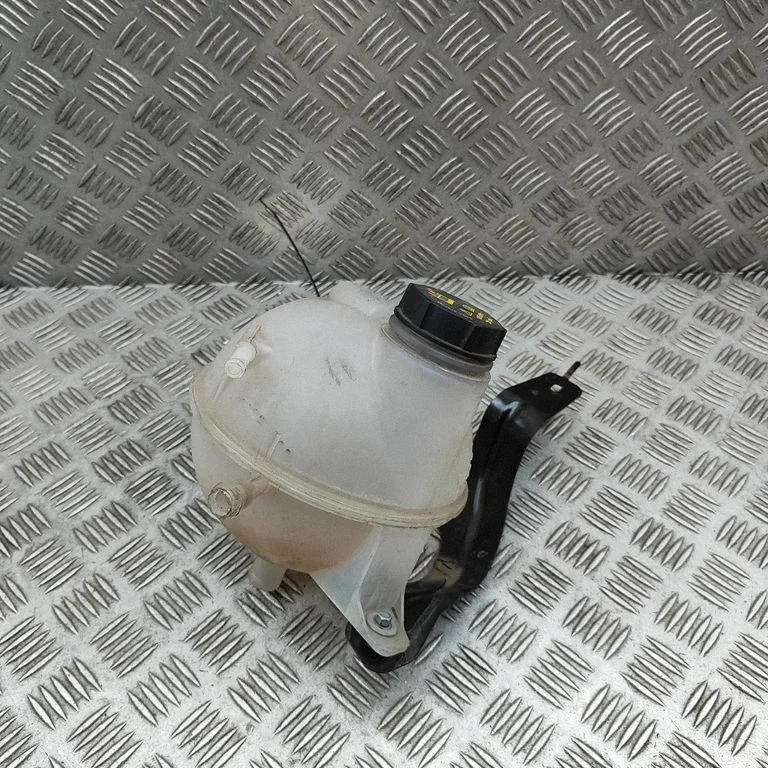 Jahutusvedeliku paisupaak – Ford Transit/ Tourneo Connect Grand Tourneo Connect (2013-2018)
