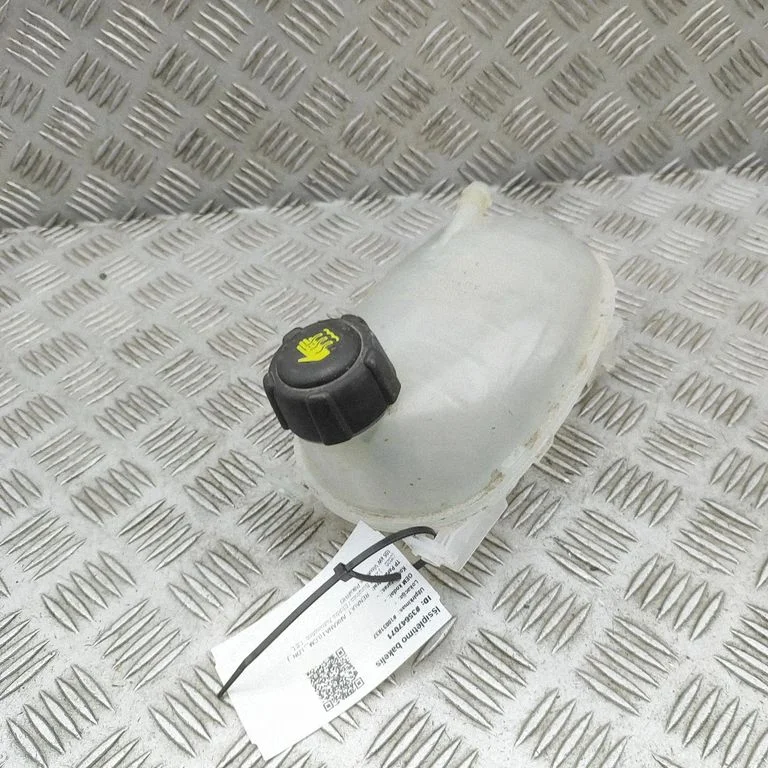 Jahutusvedeliku paisupaak 217102572R