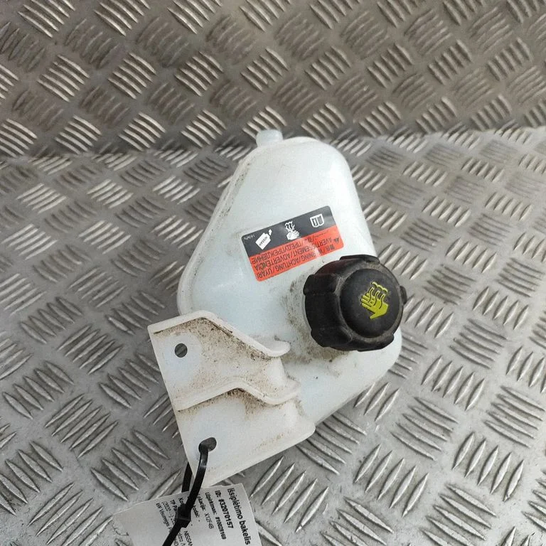 Jahutusvedeliku paisupaak 217105MP0A