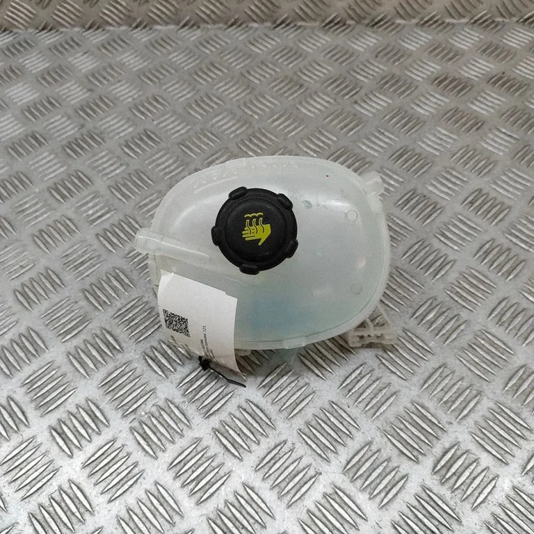 Coolant expansion tank/reservoir 217111203R