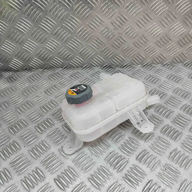 Jahutusvedeliku paisupaak 254R0P4500