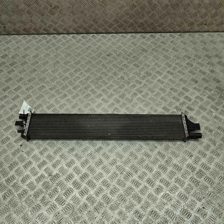 Jahutusvedeliku radiaator 214C10001R