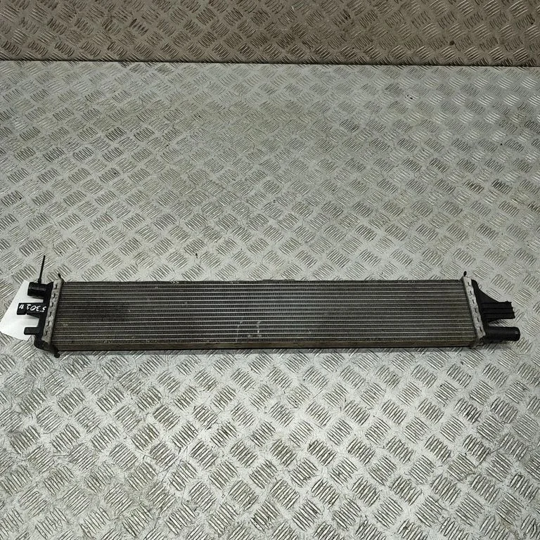 Jahutusvedeliku radiaator 214C10001R