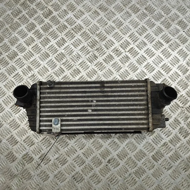 Starpdzesētāja (interkūlera) radiators 282702A880