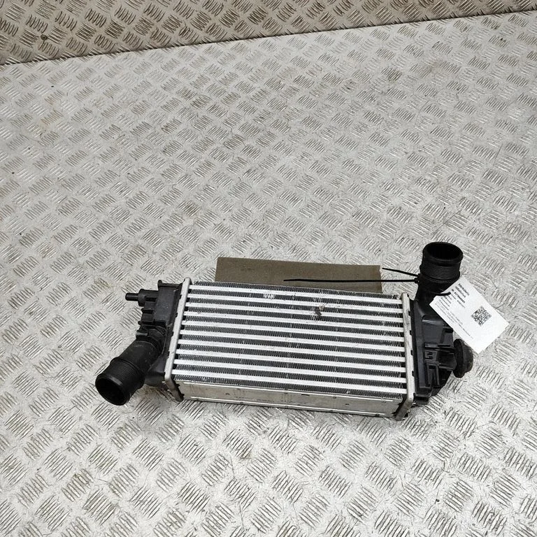 Starpdzesētāja (interkūlera) radiators L1BG6D624AB