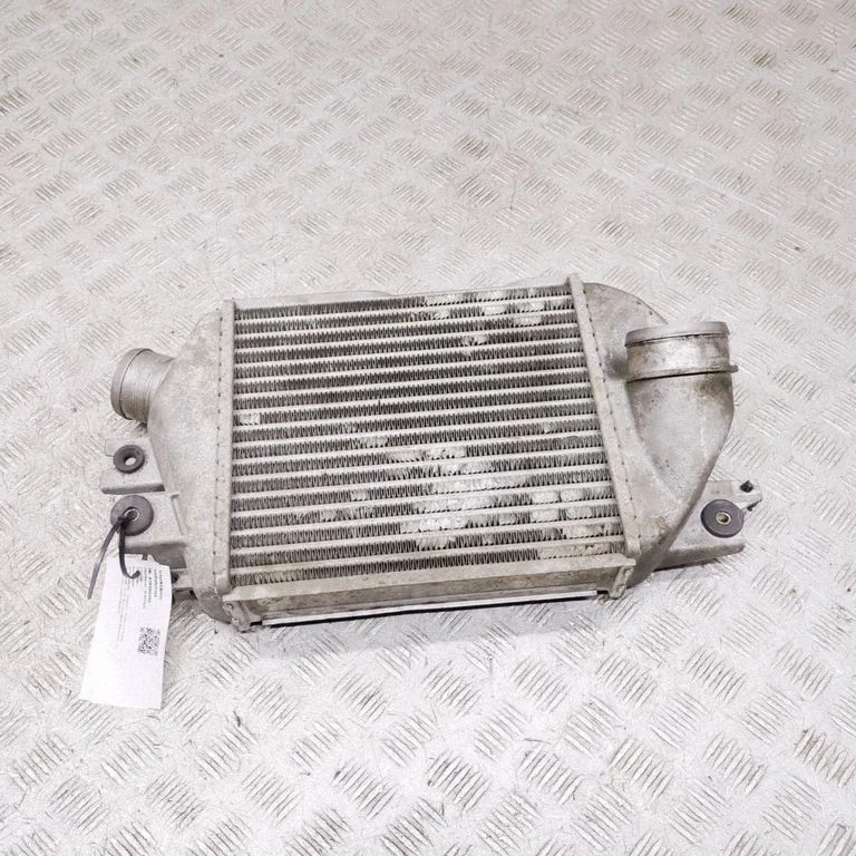 Starpdzesētāja (interkūlera) radiators 21821AA051