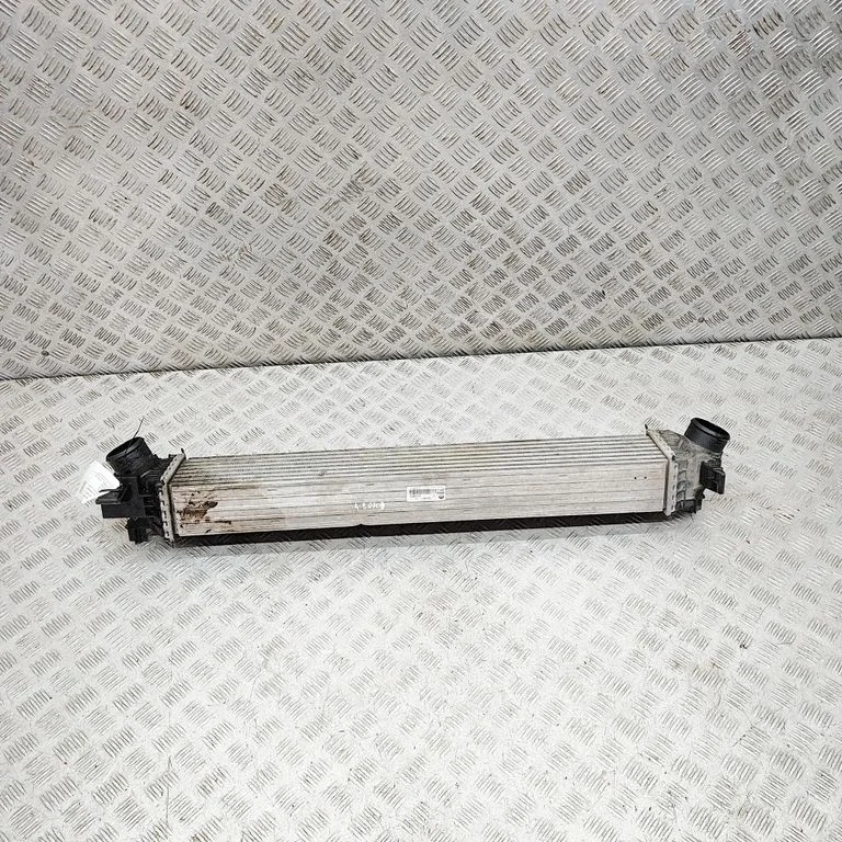 Starpdzesētāja (interkūlera) radiators 53144431