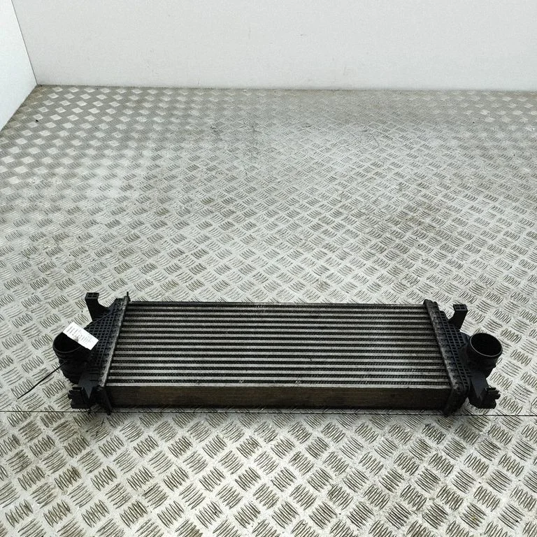 Starpdzesētāja (interkūlera) radiators 55038004AD