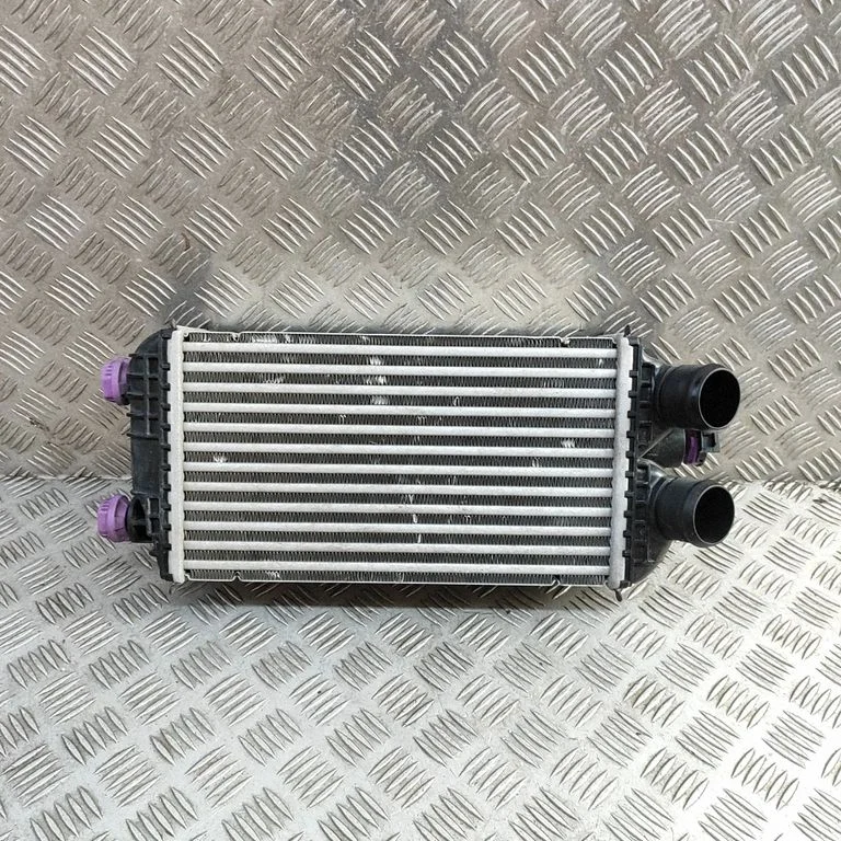 Starpdzesētāja (interkūlera) radiators 9825341380