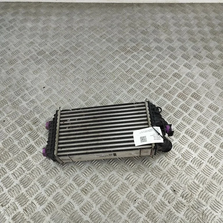 Starpdzesētāja (interkūlera) radiators 9824742280