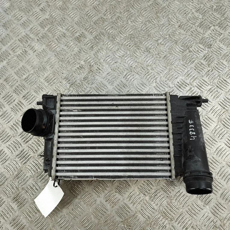 Starpdzesētāja (interkūlera) radiators 144962803R