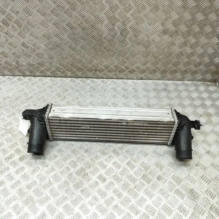 Starpdzesētāja (interkūlera) radiators 0261230453