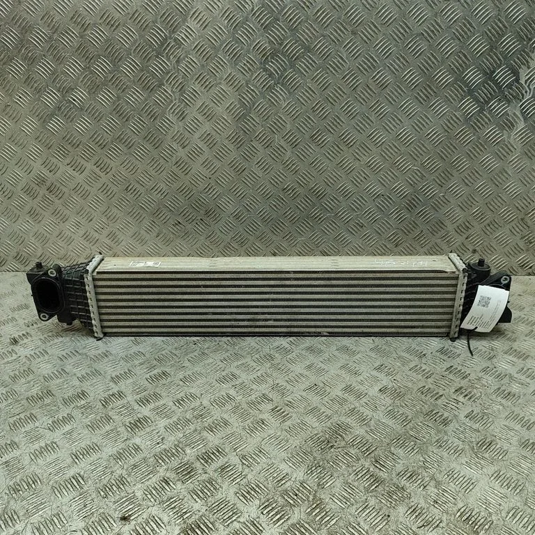 Starpdzesētāja (interkūlera) radiators 197105BFA01