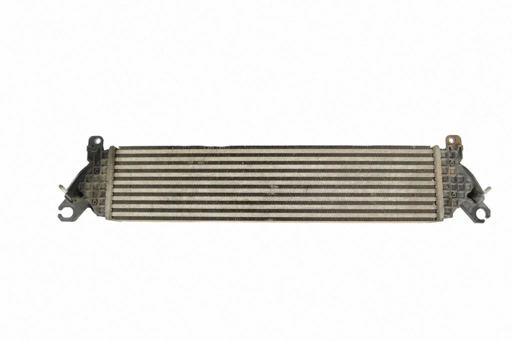 Starpdzesētāja (interkūlera) radiators 1271004113