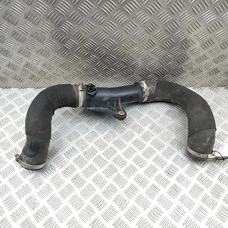 Vahejahuti voolik (-ud)/ toru (-d) 8R0145979A