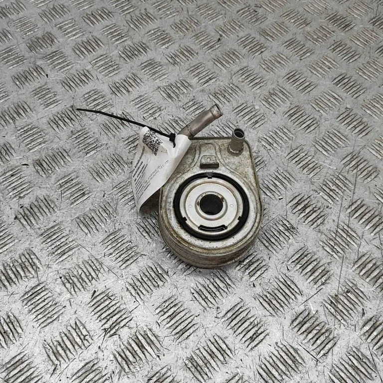 Motora eļļas radiators 264102B740