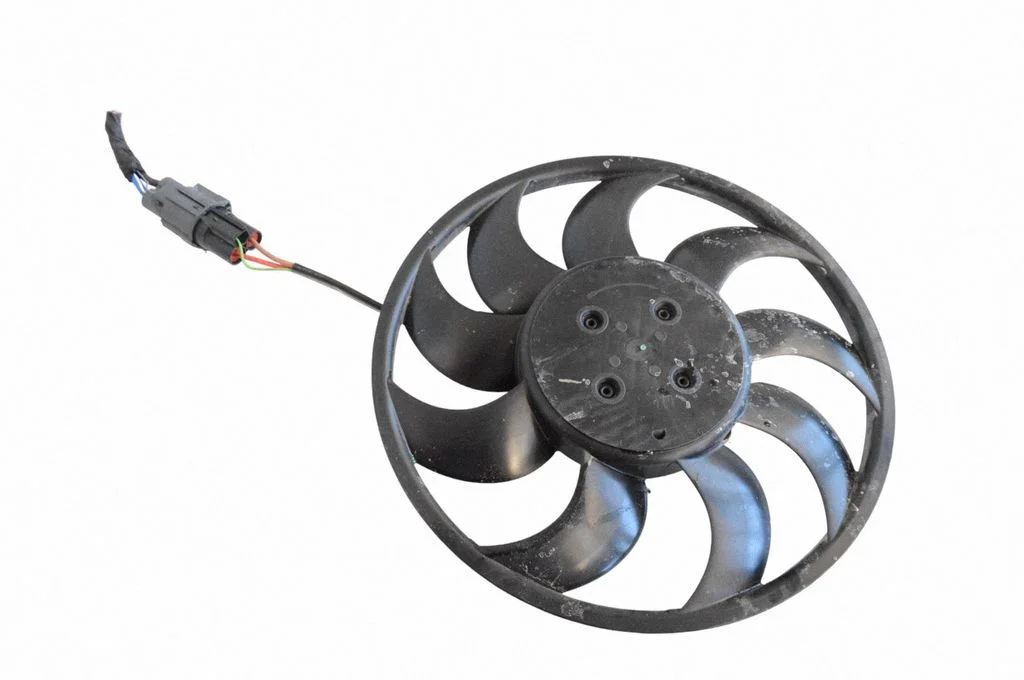 Fan impeller 31686169