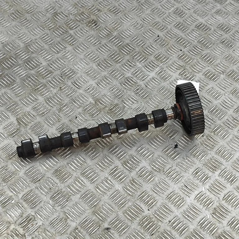 Sadales vārpsta 60601213