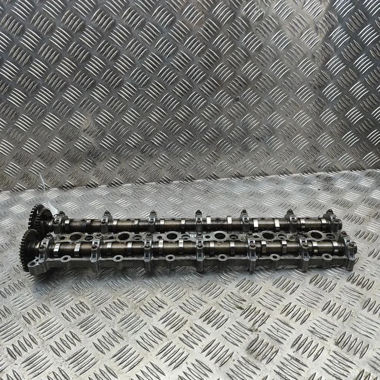 Sadales vārpsta 7800047
