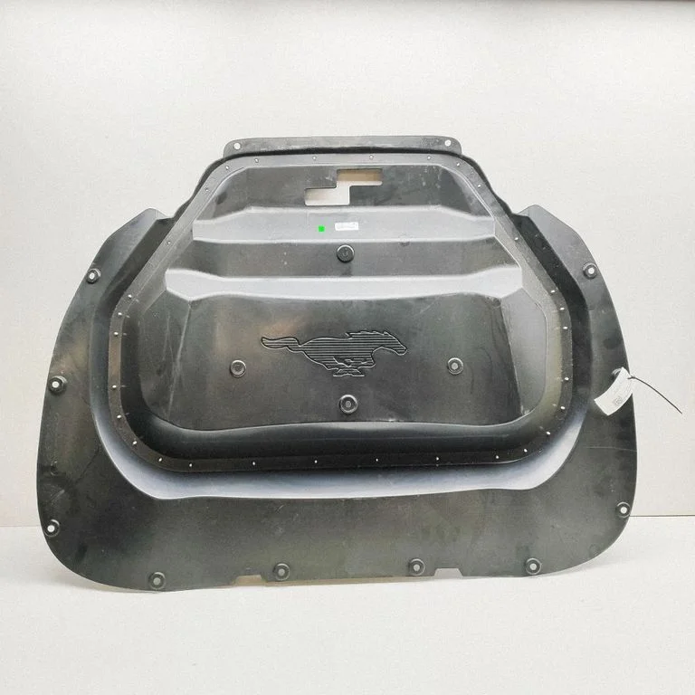 Mootori kate (kaunistus) – Ford Mustang Mach-E (2020-)