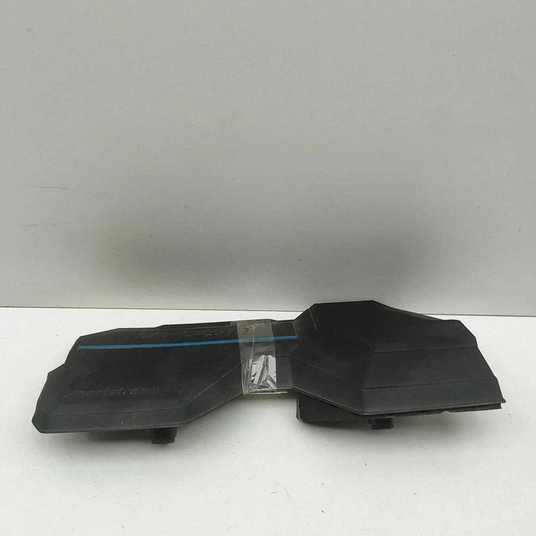 Engine cover (trim) 292402M820