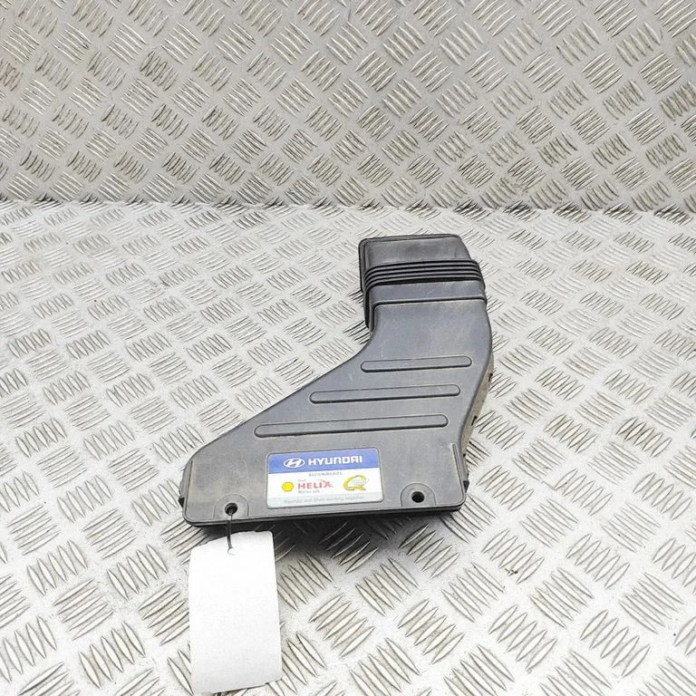 Gaisa ieplūdes kanāla detaļa (-as) 282102W800