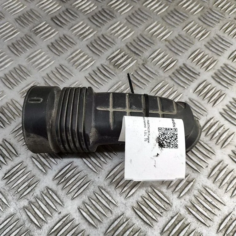 Gaisa ieplūdes kanāla detaļa (-as) 9801000980