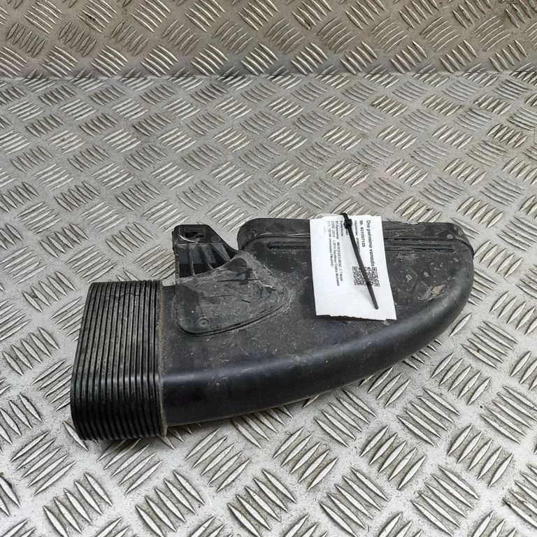Gaisa ieplūdes kanāla detaļa (-as) A6510903242