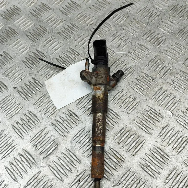 Fuel injector 166000372R