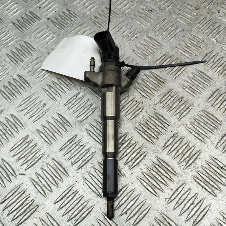 Fuel injector 166000372R