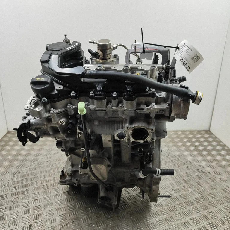 Dzinējs D12XHT