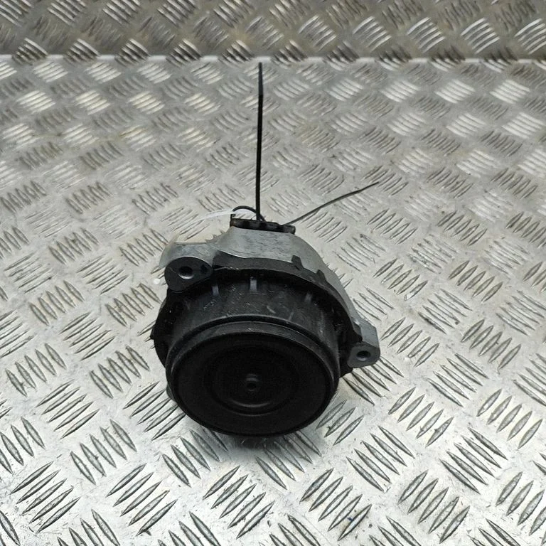 Dzinēja spilvens 2987951