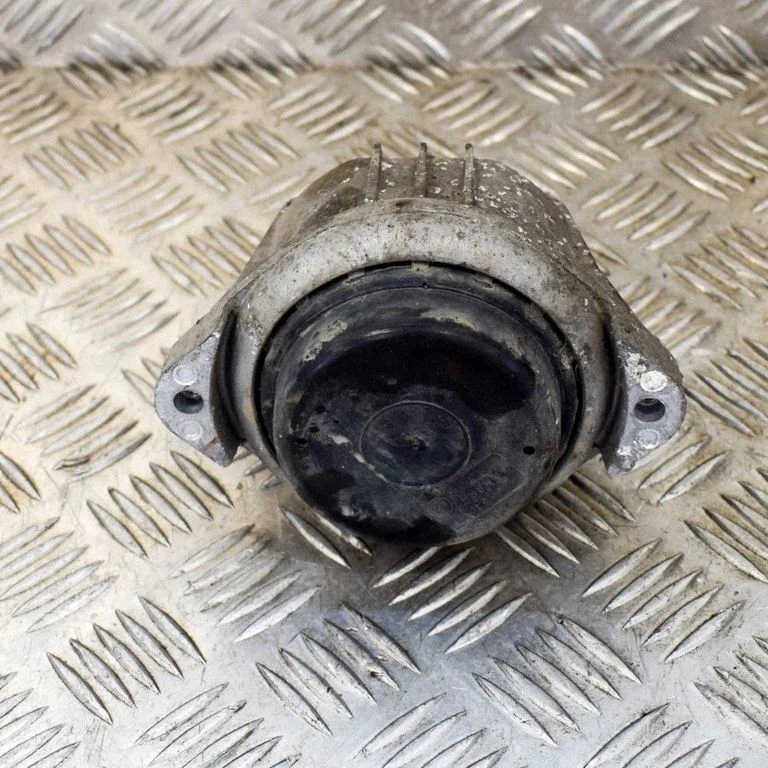 Dzinēja spilvens 13981112