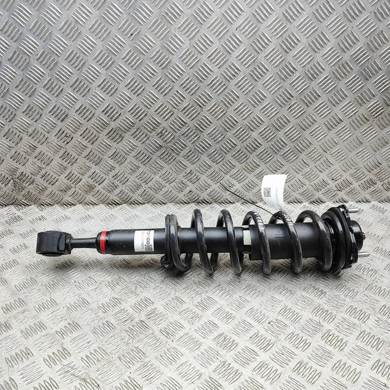 Front shock absorber/damper 48510119DN