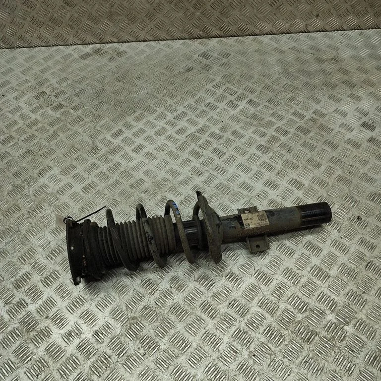 Front shock absorber/damper 824903017738
