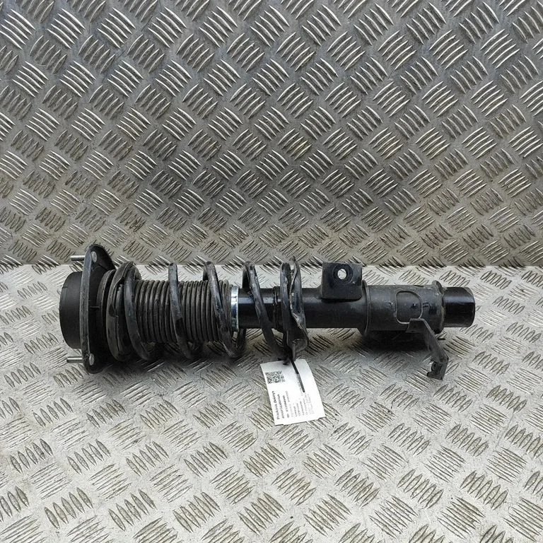 Front shock absorber/damper 824903021192