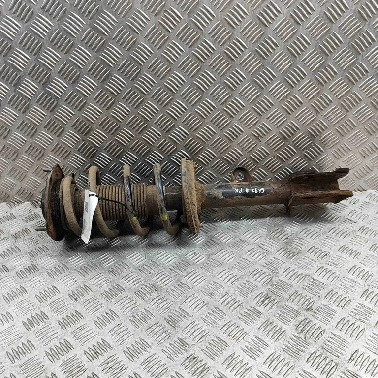 Front shock absorber/damper 546502B510